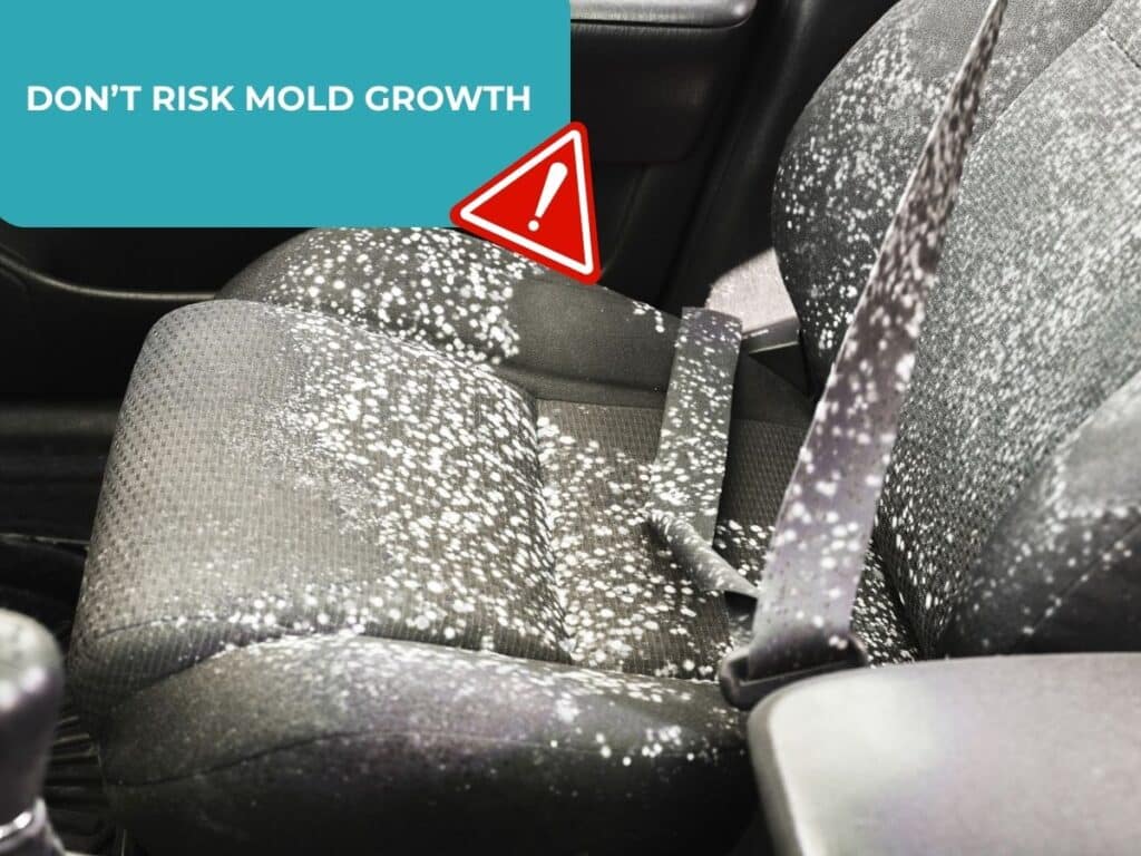 risks of car water damage - mold growth