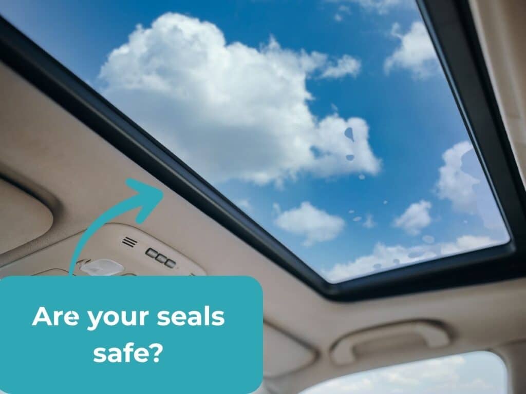 common causes of car water damage